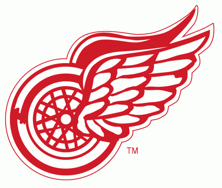Detroit Red Wings embroidered Iron on patch