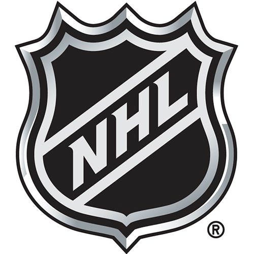 Edmonton Oilers Hockey NHL Sport Logo iron,sewing,Patch,decorate on Fabrics