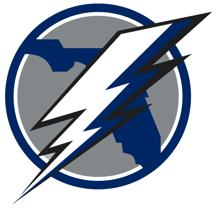 DIY Tampa Bay Lightning iron-on transfers, logos, letters, numbers, patches  |hockey iron ons
