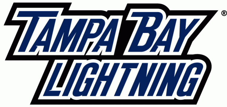 DIY Tampa Bay Lightning iron-on transfers, logos, letters, numbers